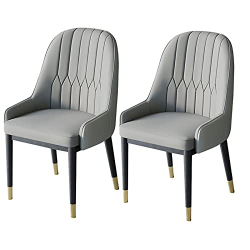 AMAZWI Moderne Esszimmerstühle 2er-Set，Küchen-Wohnzimmer-Stühle，PU-Leder Mit Hoher Rückenlehne, Weicher Sitz，Metallbeine Lounge-Theken-Akzent-Stühle(Pure Gray) von AMAZWI