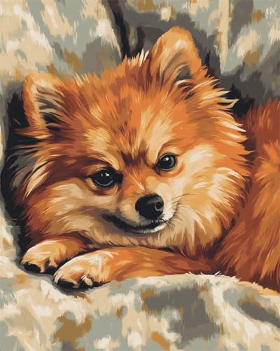 AMBATTERY DIY Handarbeit Setfantasie-Pomeranian-Tier Knüpfteppich Zum Selber Knüpfen Erwachsene Anfänger Knüpfen Set Kissen Knüpfkissen Mit Vordruck Handarbeit Kit 90x120 AMBATTERY DIY Handarbeit Setfantasie-Pomeranian-Tier Knüpfteppich Zum Selber Knüpfen Erwachsene Anfänger Knüpfen Set Kissen Knüpfkissen Mit Vordruck Handarbeit Kit 90x120 von AMBATTERY