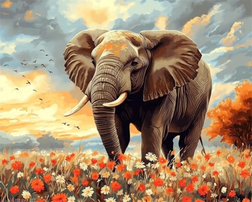 AMBATTERY DIY Knüpf-Sets Teppich Cartoon Elefant Und Blumen DIY Knüpfhaken Set Knüpfteppich Zum Selber Knüpf-Sets Mit Kissen Knüpfen-Set Knüpfen Kit Anfänger Vorgedruckt 31x45in AMBATTERY DIY Knüpf-Sets Teppich Cartoon Elefant Und Blumen DIY Knüpfhaken Set Knüpfteppich Zum Selber Knüpf-Sets Mit Kissen Knüpfen-Set Knüpfen Kit Anfänger Vorgedruckt 31x45in von AMBATTERY