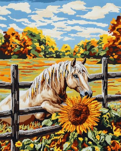 AMBATTERY DIY Knüpf-Sets Teppich Pferd Tier DIY Knüpfhaken Set Knüpfteppich Zum Selber Knüpf-Sets Mit Kissen Knüpfen-Set Knüpfen Kit Anfänger Vorgedruckt 21x29in von AMBATTERY