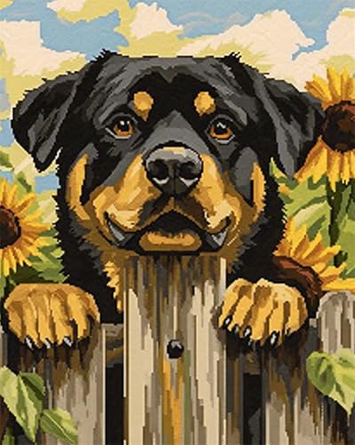 AMBATTERY DIY Knüpf-Sets Teppich Rottweiler Tier Und Blumen Knüpfteppich Set Groß Zum Selber Knüpf-Sets Mit Kissen Knüpfen-Set Für Erwachsene 31x63in AMBATTERY DIY Knüpf-Sets Teppich Rottweiler Tier Und Blumen Knüpfteppich Set Groß Zum Selber Knüpf-Sets Mit Kissen Knüpfen-Set Für Erwachsene 31x63in von AMBATTERY