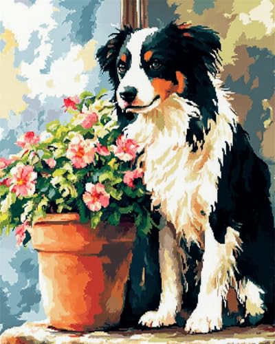 AMBATTERY DIY Knüpfen Set Border Collie Und Topfpflanzen Knüpfen Teppich Set Mit Werkzeug Knüpfsets Latch Hook Kit Für Knüpfpackung Für Home Decor 35x46in von AMBATTERY