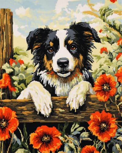 AMBATTERY DIY Knüpfen Set Erwachsene Border Collie Tier Und Blumen Knüpfen Teppich Set Mit Werkzeug Knüpfsets Latch Hook Kit Für Knüpfpackung Für Home Decor 31x63in von AMBATTERY