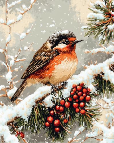 AMBATTERY DIY Knüpfen Set Erwachsene Cartoon Schneewaldlandschaft Und Vögel Knüpfteppich Set Erwachsene Groß Knüpfsets Latch Hook Kit Selbst Knüpfen Für Farbmuster Vorbedruckt 23x35in von AMBATTERY