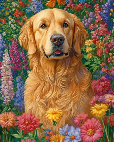 AMBATTERY DIY Knüpfen Set Erwachsene Golden Retriever Hund Tiere Und Blumen Knüpfteppich Set Erwachsene Groß Knüpfsets Latch Hook Kit Selbst Knüpfen Für Farbmuster Vorbedruckt 31x63in AMBATTERY DIY Knüpfen Set Erwachsene Golden Retriever Hund Tiere Und Blumen Knüpfteppich Set Erwachsene Groß Knüpfsets Latch Hook Kit Selbst Knüpfen Für Farbmuster Vorbedruckt 31x63in von AMBATTERY