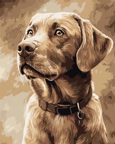 AMBATTERY DIY Knüpfen Set Erwachsene Labrador Retriever Tier Knüpfteppich Set Vorgedruckt Gross,Bedruckter Leinwand Teppich Knüpfen Set Für Erwachsene Knüpfhaken Set Kissen 31x63in AMBATTERY DIY Knüpfen Set Erwachsene Labrador Retriever Tier Knüpfteppich Set Vorgedruckt Gross,Bedruckter Leinwand Teppich Knüpfen Set Für Erwachsene Knüpfhaken Set Kissen 31x63in von AMBATTERY