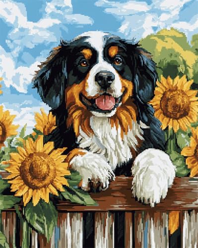 AMBATTERY DIY Knüpfteppich Berner Sennenhund Und Sonnenblumen Knüpfteppich Für Erwachsene Zum Selber Knüpfen,DIY Knüpfsets Kreuzstich Teppich Set Mit Werkzeug Latch Hook Kit 23x35in AMBATTERY DIY Knüpfteppich Berner Sennenhund Und Sonnenblumen Knüpfteppich Für Erwachsene Zum Selber Knüpfen,DIY Knüpfsets Kreuzstich Teppich Set Mit Werkzeug Latch Hook Kit 23x35in von AMBATTERY