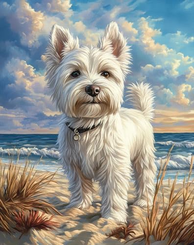 AMBATTERY DIY Knüpfteppich Hundetier Am Strand Knüpfteppich Für Erwachsene Zum Selber Knüpfen，DIY Knüpfsets Kreuzstich Teppich Set Mit Werkzeug Latch Hook Kit 23x35in von AMBATTERY