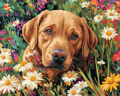 AMBATTERY DIY Knüpfteppich Set Bunte Hundetiere Und Blumen Knüpfteppich Set Erwachsene Groß Knüpfsets Latch Hook Kit Selbst Knüpfen Für Farbmuster Vorbedruckt 23x35in AMBATTERY DIY Knüpfteppich Set Bunte Hundetiere Und Blumen Knüpfteppich Set Erwachsene Groß Knüpfsets Latch Hook Kit Selbst Knüpfen Für Farbmuster Vorbedruckt 23x35in von AMBATTERY
