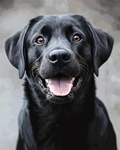 AMBATTERY DIY Knüpfteppich Set Cartoon-Labrador-Retriever-Tier DIY Knüpfhaken Kits Teppichherstellung Set Für Erwachsene，Wohnkultur Handarbeit Für Stricken 60x90cm von AMBATTERY
