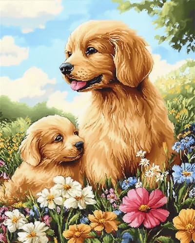 AMBATTERY DIY Knüpfteppich Set Golden Retriever Hund Tiere Und Blumen Knüpfteppich Zum Selber Knüpfset Knüpfen Set 3D Teppich Tapisserie Set Für Erwachsene Anfänger Geschenk Latch Hook Kit 23x35in AMBATTERY DIY Knüpfteppich Set Golden Retriever Hund Tiere Und Blumen Knüpfteppich Zum Selber Knüpfset Knüpfen Set 3D Teppich Tapisserie Set Für Erwachsene Anfänger Geschenk Latch Hook Kit 23x35in von AMBATTERY