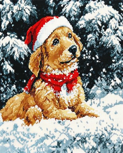 AMBATTERY DIY Knüpfteppich Weihnachtshundetier Knüpfteppich Set Für Erwachsene Zum Selber，Teppich Rasthaken Knüpfen Set Mit Vordruck，DIY 3D Handwerk Geschenk 23x35in von AMBATTERY