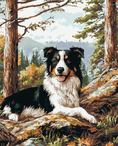 AMBATTERY DIY Set Erwachsene Wald-Border-Collie-Tier Knüpfset Mit Werkzeug Latch Hook Kit Knüpfteppich 3D Knüpfmatte Zum Selber Knüpfen Teppich Für Erwachsene Oder Anfänger 31x63in AMBATTERY DIY Set Erwachsene Wald-Border-Collie-Tier Knüpfset Mit Werkzeug Latch Hook Kit Knüpfteppich 3D Knüpfmatte Zum Selber Knüpfen Teppich Für Erwachsene Oder Anfänger 31x63in von AMBATTERY
