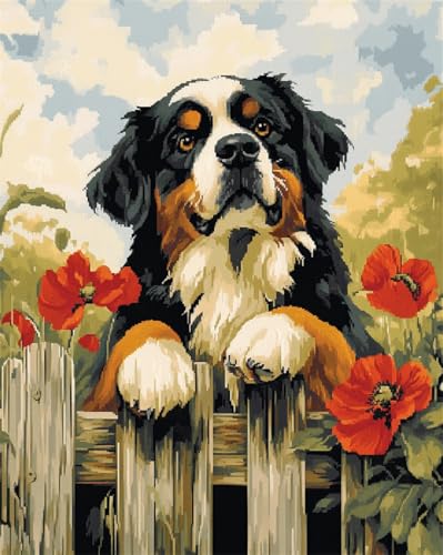 AMBATTERY DIY Teppich Knüpfen Set Erwachsene Berner Sennenhund Tier Und Blumen Tapisserie Teppich Knüpf-Sets Kreuzstich Kit Knüpfen Set Für Erwachsene DIY Handwerk Geschenke Fußabtreter 35x46in von AMBATTERY
