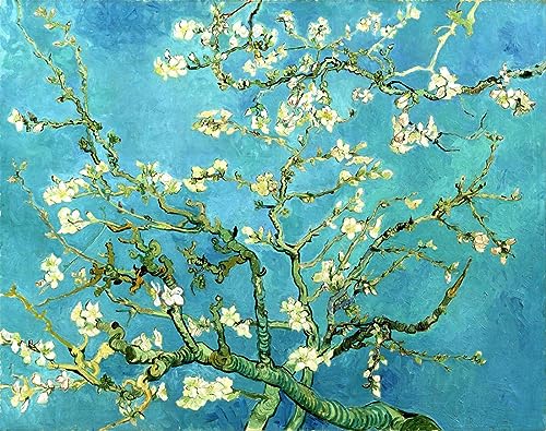 AMBATTERY Knüpfen Set Van Gogh Ölgemälde Mandelblüte Fußmatte Teppich Herstellung Kits, Geschenkverpackung Diy Für Kinder/Erwachsene Mit Bedruckter Leinwand 35x46in von AMBATTERY