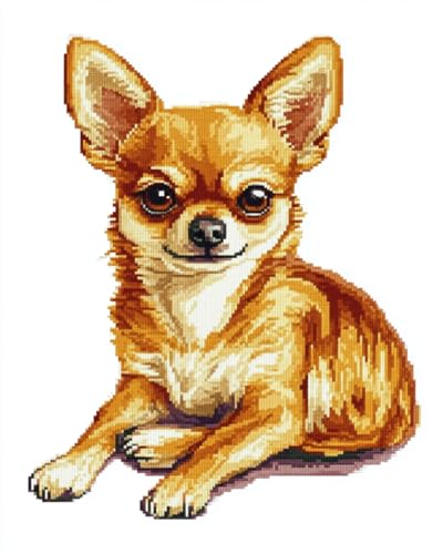 AMBATTERY Knüpfteppich Set Chihuahua Hund Tier Knüpfen Set Teppich Knüpfset 31x63in für Erwachsene, ältere Kinder, nicht zusammenklappbar von AMBATTERY