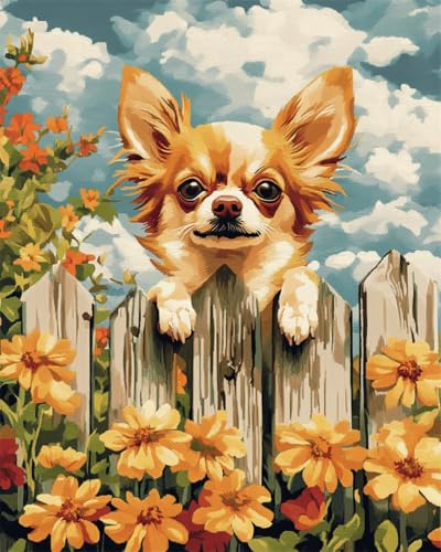 AMBATTERY Teppich Selber Machen Chihuahua Tier Und Blumen Tapisserie Teppich Knüpf-Sets Kreuzstich Kit Knüpfen Set Für Erwachsene DIY Handwerk Geschenke Fußabtreter 31x45in AMBATTERY Teppich Selber Machen Chihuahua Tier Und Blumen Tapisserie Teppich Knüpf-Sets Kreuzstich Kit Knüpfen Set Für Erwachsene DIY Handwerk Geschenke Fußabtreter 31x45in von AMBATTERY