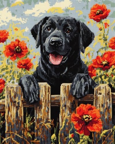 AMBATTERY Teppich Selber Machen Labrador Retriever Tier Und Blumen Knüpfteppich Zum Selber Knüpfset Knüpfen Set 3D Teppich Tapisserie Set Für Erwachsene Anfänger Geschenk Latch Hook Kit 31x45in AMBATTERY Teppich Selber Machen Labrador Retriever Tier Und Blumen Knüpfteppich Zum Selber Knüpfset Knüpfen Set 3D Teppich Tapisserie Set Für Erwachsene Anfänger Geschenk Latch Hook Kit 31x45in von AMBATTERY