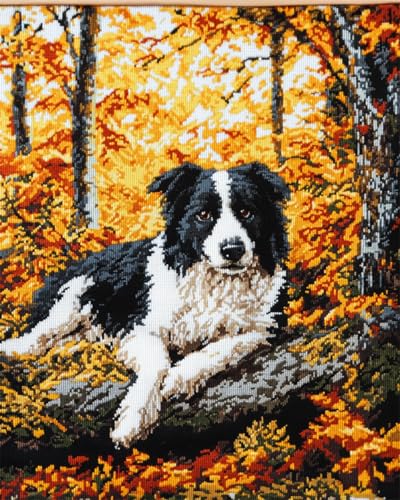 DIY Knüpfen Set Erwachsene Wald-Border-Collie-Tier Knüpfteppich Set Erwachsene Groß Knüpfsets Latch Hook Kit Selbst Knüpfen Für Farbmuster Vorbedruckt 31x63in von AMBATTERY