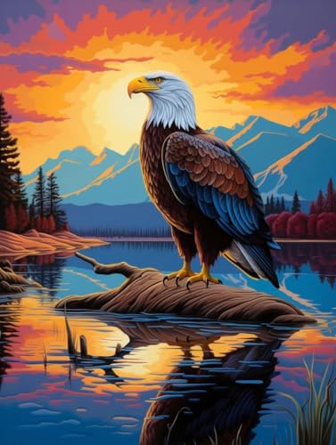 DIY Knüpfteppich Set Vorgedruckt Landschaft Und Adlertier DIY Knüpfhaken Set Knüpfteppich Zum Selber Knüpf-Sets Mit Kissen Knüpfen-Set Knüpfen Kit Anfänger Vorgedruckt 35x46in DIY Knüpfteppich Set Vorgedruckt Landschaft Und Adlertier DIY Knüpfhaken Set Knüpfteppich Zum Selber Knüpf-Sets Mit Kissen Knüpfen-Set Knüpfen Kit Anfänger Vorgedruckt 35x46in von AMBATTERY