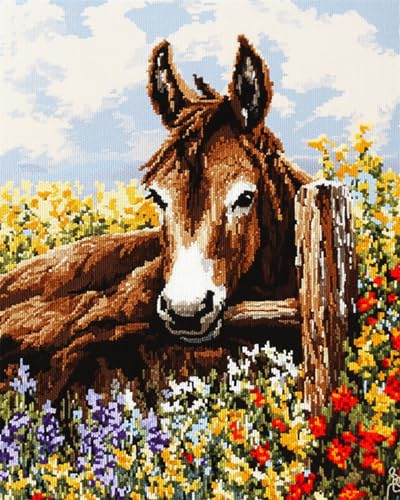 Diy Knüpfen Set Erwachsene Esel，Tier Und Blumen Diamond Painting Kit Round Knüpfteppich Zum Selber Knüpfen Extra Groß Teppich Knüpfstern Set Erwachsene Vorgedruckt Tapisserie Drill 5D Pai 31x63in von AMBATTERY