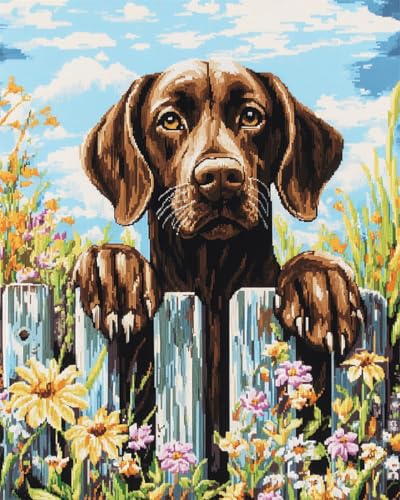 Diy Set Erwachsene Labrador Retriever Tier Und Blumen Diamond Painting Kit Round Knüpfteppich Zum Selber Knüpfen Extra Groß Teppich Knüpfstern Set Erwachsene Vorgedruckt Tapisserie Drill 5 23x35in Diy Set Erwachsene Labrador Retriever Tier Und Blumen Diamond Painting Kit Round Knüpfteppich Zum Selber Knüpfen Extra Groß Teppich Knüpfstern Set Erwachsene Vorgedruckt Tapisserie Drill 5 23x35in von AMBATTERY