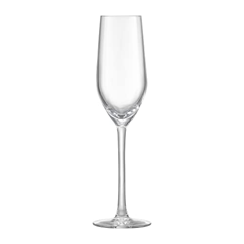 AMBITION Sektgläser 6er Set Champagner Gläser Set 160 ml transparent elegant spülmaschinengeeignet Verre Kollektion von AMBITION