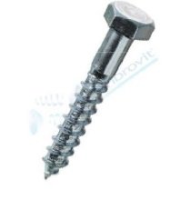Verzinkter Schraube DIN571 8 x 40 – 100 Stück Verzinkter Schraube DIN571 8 x 40 – 100 Stück von AMBROVIT
