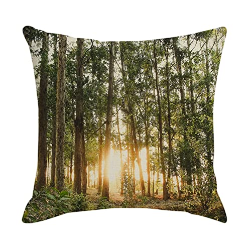 AMDXD Dekorativ Kissenbezüge, 40x40cm Kissenhüllen 1 Pcs Weiche Quadratisch Dekokissenbezüge mit Bäume Sonnenschein Muster, in Leinen, für Sofa Schlafzimmer Auto Dekoration (Leinen, Grün Gelb) von AMDXD