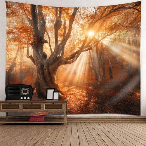 AMDXD Tapisserie Wandbehang, Natur Landschaft Wandteppich Herbst Baum Wald Design Muster Wandtuch Braun Polyester, Heimdekorationen für Schlafzimmer Wohnzimmer Kinderzimmer, 150x150cm AMDXD Tapisserie Wandbehang, Natur Landschaft Wandteppich Herbst Baum Wald Design Muster Wandtuch Braun Polyester, Heimdekorationen für Schlafzimmer Wohnzimmer Kinderzimmer, 150x150cm von AMDXD