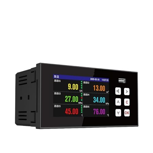 Farbiger Mehrkanal-Papierlos-Recorder Temperatur Industrielle Mehrkanal-Temperaturkurve(2 channels color screen MIK-R200T) von AMEHRU