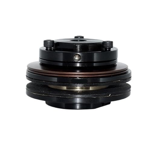 Stern-Reibungsdrehmomentbegrenzer DTLC200, Sicherheitskupplungs-Drehmomentüberlastschutz DTL500, TC350(DTL350-2 D89L62) von AMEHRU