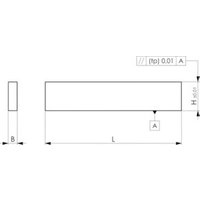 AMF Parallelunterlagen-Paar DIN6346P H.12xB.4xL.100mm von AMF