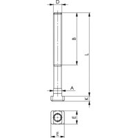Kegelpfanne DIN6319G M14 AMF Kegelpfanne DIN6319G M14 AMF von AMF