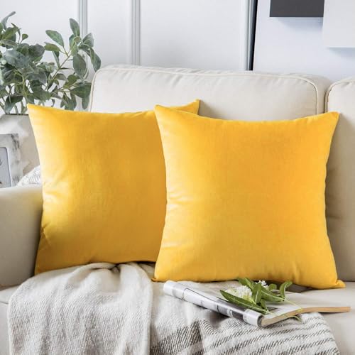 AMFUN 2er Set Samt Kissenbezug, Kissenbezug 45x45 cm, Dekorative Dekokissen, Sofakissen Lendenkissen Wurfkissenbezug mit Verstecktem Reißverschlus, Aprikosenyellow AMFUN 2er Set Samt Kissenbezug, Kissenbezug 45x45 cm, Dekorative Dekokissen, Sofakissen Lendenkissen Wurfkissenbezug mit Verstecktem Reißverschlus, Aprikosenyellow von AMFUN