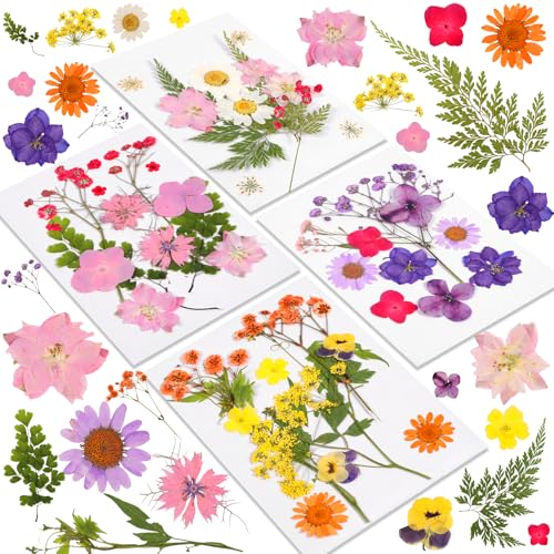AMFUN Gepresste Blüten, 46 Stück DIY Getrocknete Blüten, Getrocknete Gepresste Blumen, Natürliche Getrocknete Blumen für DIY Harz Schmuck Nagel Handwerk Sammelalbum Dekorationen AMFUN Gepresste Blüten, 46 Stück DIY Getrocknete Blüten, Getrocknete Gepresste Blumen, Natürliche Getrocknete Blumen für DIY Harz Schmuck Nagel Handwerk Sammelalbum Dekorationen von AMFUN