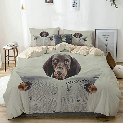 AMIGGOO Bettwäsche-Set Mikrofaser,Beige,Dackelwursthund liest EIN Zeitungsmagazin im Schlafzimmer im Bett,1 Bettbezug 200x200 + 2 Kopfkissenbezug von AMIGGOO