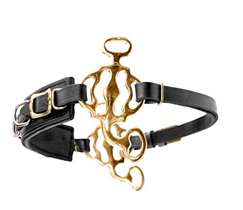 AMKA Hackamore Barock, mit 3 Ringen, Nasenriemen Leder schwarz, Anzüge goldfarben AMKA Hackamore Barock, mit 3 Ringen, Nasenriemen Leder schwarz, Anzüge goldfarben von AMKA