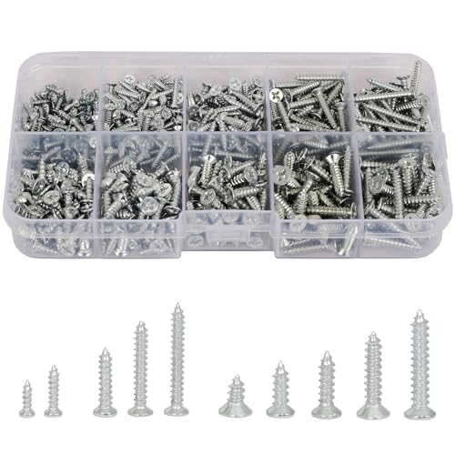 535 Stück Holzschrauben Set Selbstschneidende für Holz & Kunststoff (M2 6/10mm, M2.5 12/16/20mm, M3 10/12/16/20mm) - Kleine Schrauben Set mit Aufbewahrungsbox, Vollgewinde, Verschiedene Längen von AMLOOPH