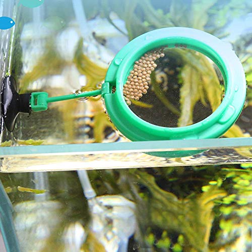 AMONIDA Fischfutterring, Fisch Futterring Aquarium Feeder Fisch-Futterspender für Aquarium Runder Guter Auftrieb Aquarium Feeding Ring Halten Sie das Wasser für Fische Fischtank Sauber (Grün) von AMONIDA