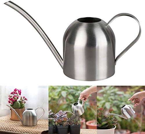 Edelstahl Gießkanne 500ml Giesskanne Blumengießkanne Garten Gartengießkanne Blumengießkanne Zimmerpflanzen Rdening Topf Kleine Purling Kann Saftige Innenblume für Die Balkon Gartenarbeit von AMONIDA