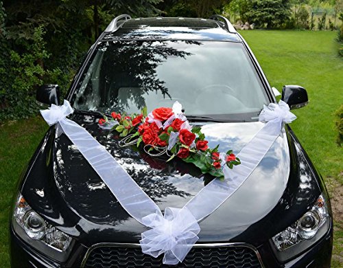 AMP Autoschmuck Autodeko Hochzeit Dekor Verschiedene Variante Komplett (Blumestrauß + Hochzeitstauben – rot) von AMP