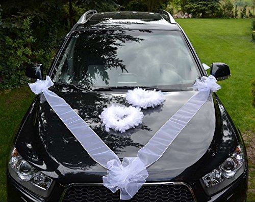 AMP Autoschmuck Autodeko Hochzeit Dekor Verschiedene Variante Komplett (Herzen) von AMP