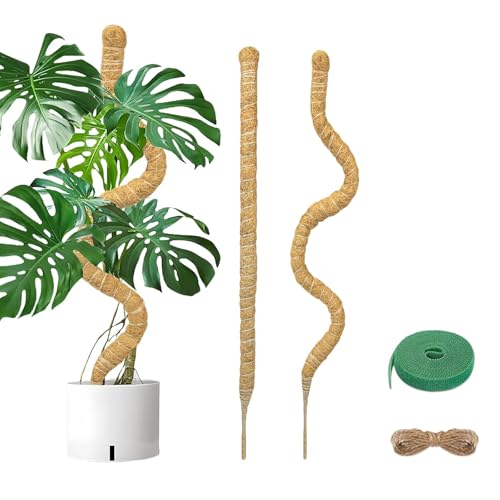 AMSGANK Moosstab Monstera für Pflanzen, 2 x 120cm Biegsame Pflanzenstütze Monstera Rankhilfe mit Zubehör Handgefertigte Kokosstab Moss Pole für Indoor Kletterpflanzen AMSGANK Moosstab Monstera für Pflanzen, 2 x 120cm Biegsame Pflanzenstütze Monstera Rankhilfe mit Zubehör Handgefertigte Kokosstab Moss Pole für Indoor Kletterpflanzen von AMSGANK