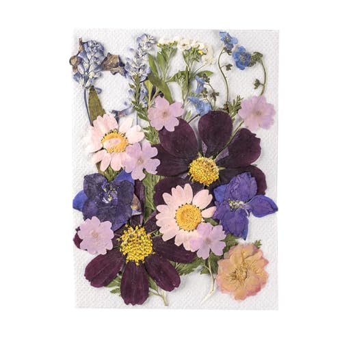 AMSLSIU Natürliche getrocknete Blumen DIY Kunsthandwerk Geprägte Blumensträuße Gepresste Blumen Bunte Blumendekoration Haushaltsbedarf , Typ 1 von AMSLSIU