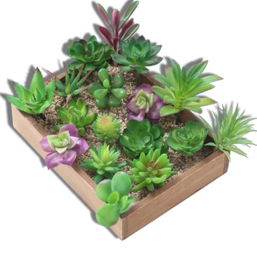 AMSLSIU Packung mit 12 künstlichen Sukkulenten DIY Dekoration ungetopft Simulation Outdoor Home Party Hof Farbe zufällig AMSLSIU Packung mit 12 künstlichen Sukkulenten DIY Dekoration ungetopft Simulation Outdoor Home Party Hof Farbe zufällig von AMSLSIU