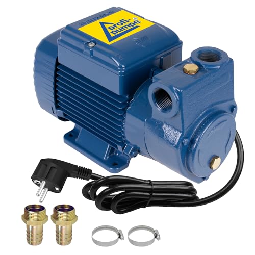 Dieselpumpe Heizölpumpe Kraftstoffpumpe Biodiesel Elektro Fasspumpe Ölpumpe Kraftstoffpumpe Bio-Diesel Pumpe EU-Fertigung (Pumpe Deluxe CKm - 230V) von AMUR