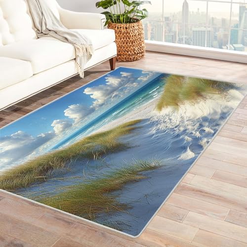 AMXBZC Moderne Design Weich Robuster Teppich Grasland Dünen Blauer Ozean Waschbar ideal für Wohnzimmer, Esszimmer und Außenbereich, In- und Outdoor, Vintage-Optik(Blau)-210x270cm von AMXBZC