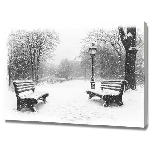 AMXBZC Moderne Leinwand Bilder Winter schwarz weiß Landschaft Nature Pflanze Drucke -Büro Küche - Badezimmer Kunstdrucke Wandbilder Wohnzimmer Gemälde(weiß)-40x60cm Gerahmt von AMXBZC