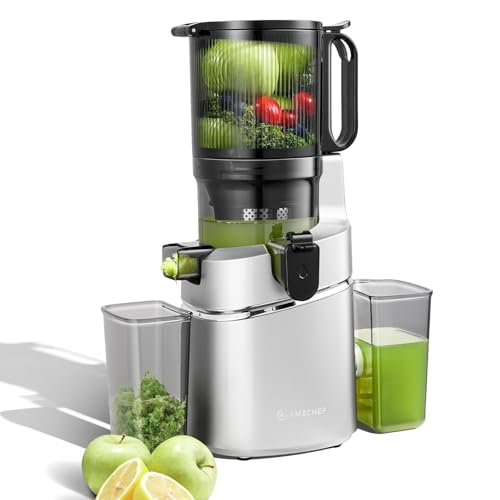 AMZCHEF 250W Automatischer All-In-One Entsafter, 135MM Öffnung und 1,8L entsafter für Gemüse und Obst, Entsafter Slow Juicer Testsieger mit Dreifachem Filter - Silber von AMZCHEF